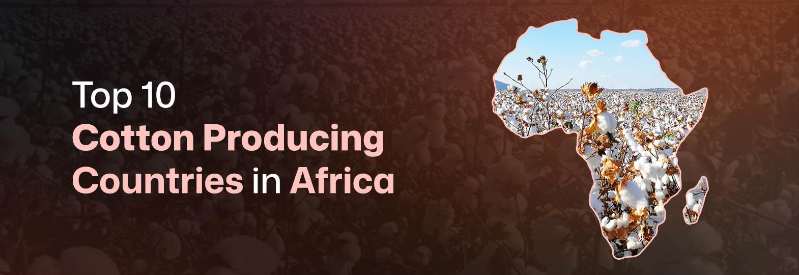 otton Producing Countries in Africa